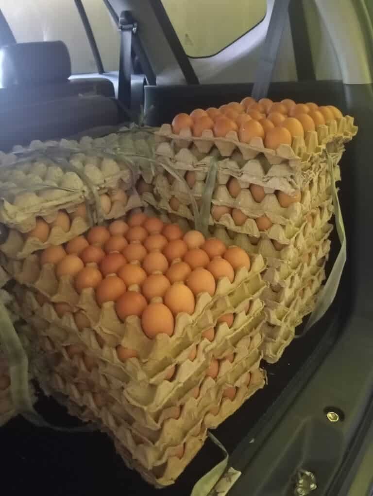 u34-IMG_20251121_132705-1